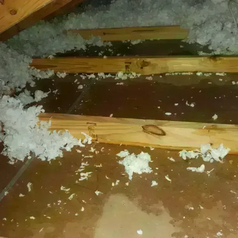 Attic Water Damage in Nahunta, GA