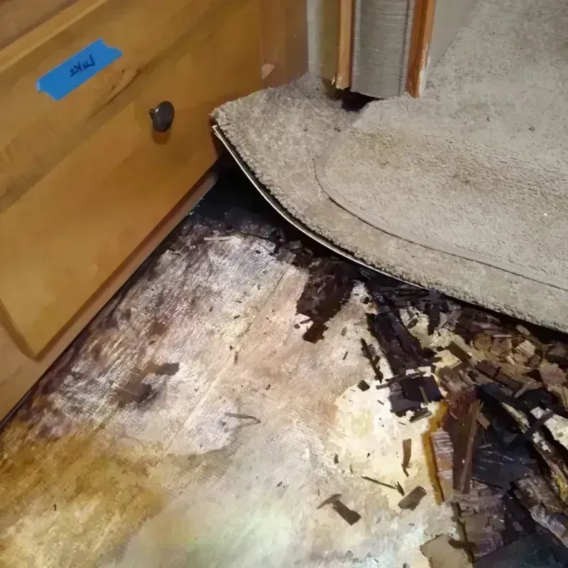 Best Wood Floor Water Damage Service in Nahunta, GA